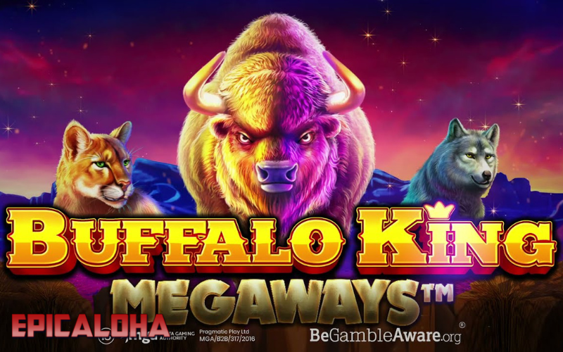 buffalo king mega ways