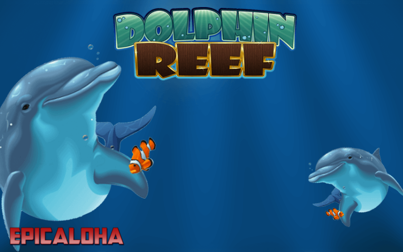 dolhpin reef