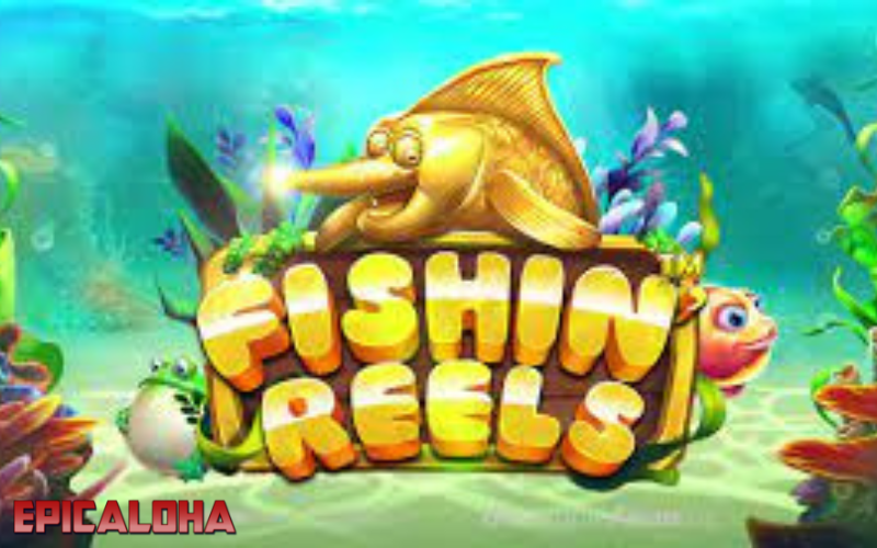 fishin reels