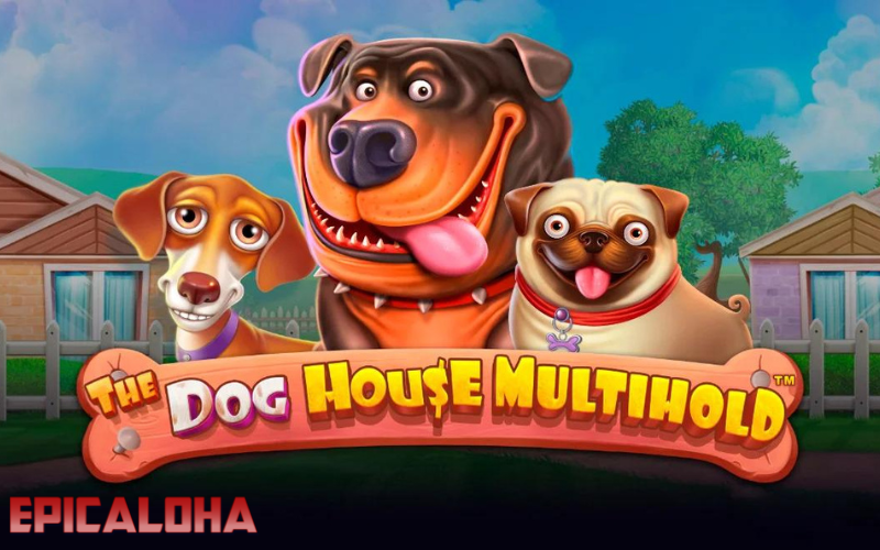 How to Play The Dog House Slot A Step-by-Step Guide for Beginners post thumbnail image