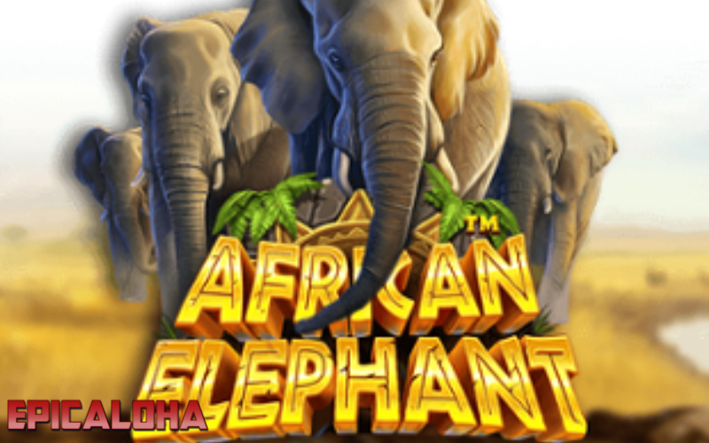 TOP 10 TIPS FOR MAXIMIZING WINNINGS IN AFRICAN ELEPHANT SLOT post thumbnail image