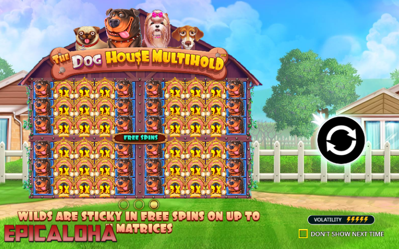 THE ULTIMATE GUIDE TO WINNING BIG ON THE DOG HOUSE MULTIHOLD SLOT post thumbnail image