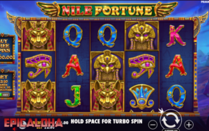 nile fortune 