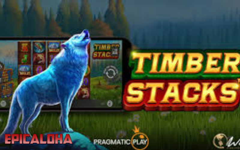 WHY TIMBER STACKS SLOT IS DIFFERENT FROM OTHER SLOTS post thumbnail image